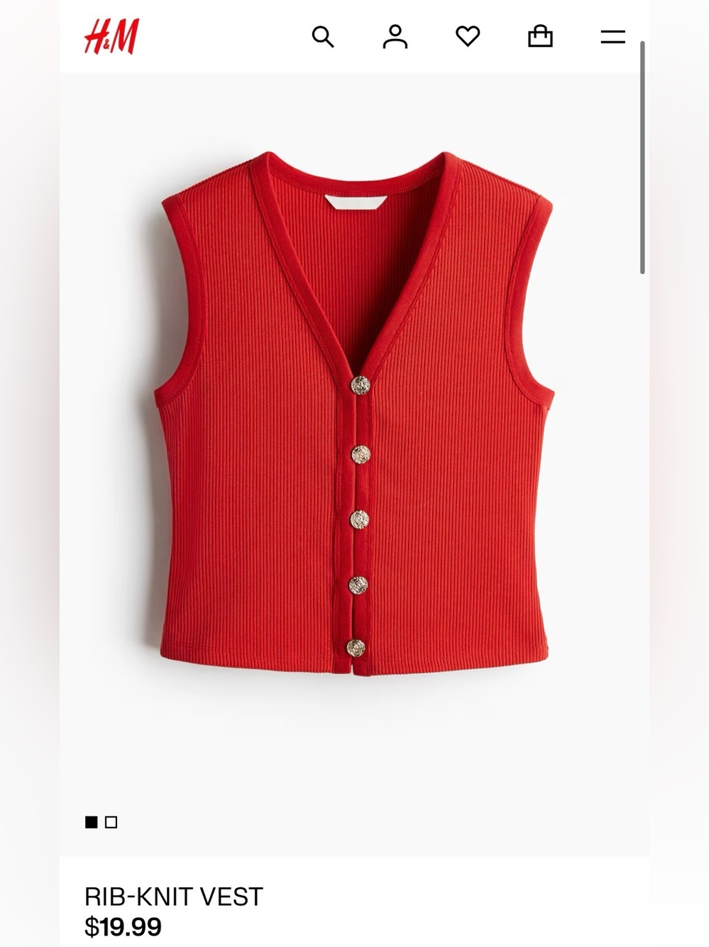 H&M Rib Knit Vest - Picture 6 of 6